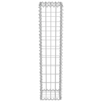 Gabionhegn 20x20x100 cm Galvaniseret Stål