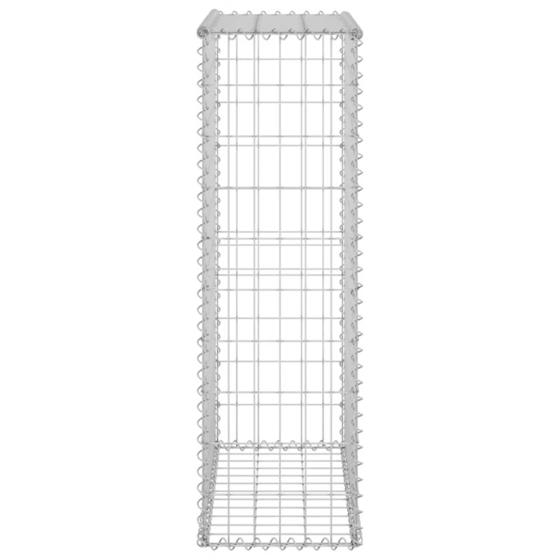Gabionhegn 60x30x100 cm Galvaniseret Stål