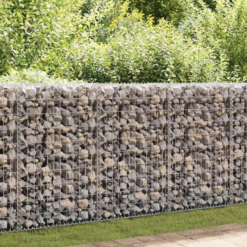 Gabionhegn 60x30x100 cm Galvaniseret Stål