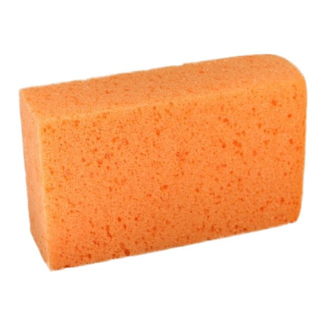 Nigrin bilvaskesvamp