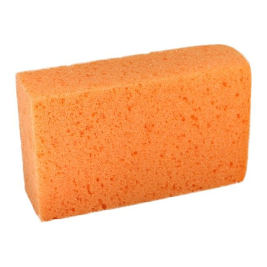 Nigrin bilvaskesvamp