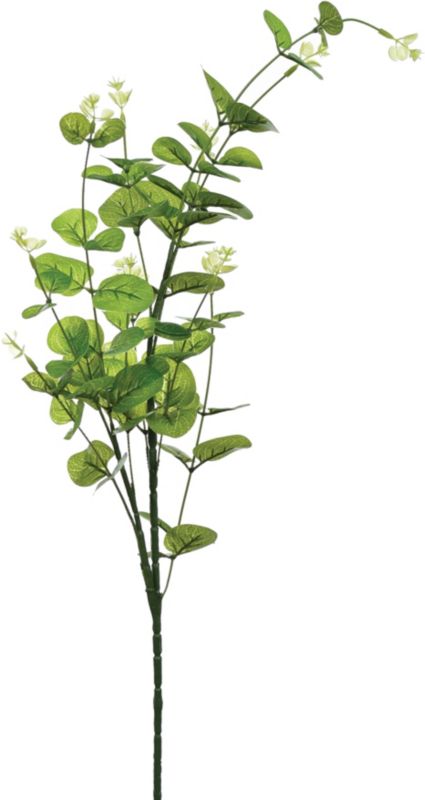 Jumi eucalyptusgren 90 cm