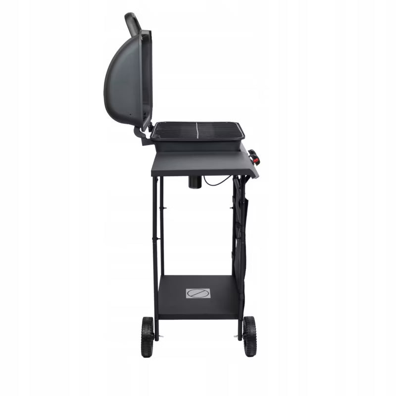 Gasgrill 5,4 kW 2 Brændere Sort