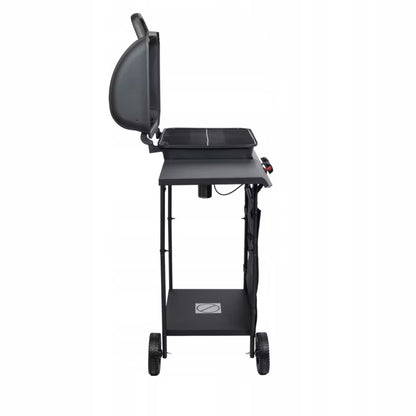 Gasgrill 5,4 kW 2 Brændere Sort