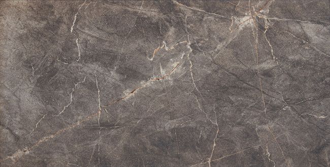 Camilia Arte glaseret flise 30,8 x 60,8 cm brun 1,12 m²