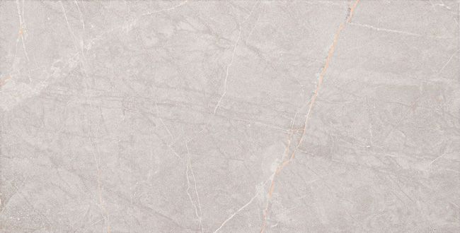 Camilia Arte glaseret flise 30,8 x 60,8 cm hvid 1,12 m²