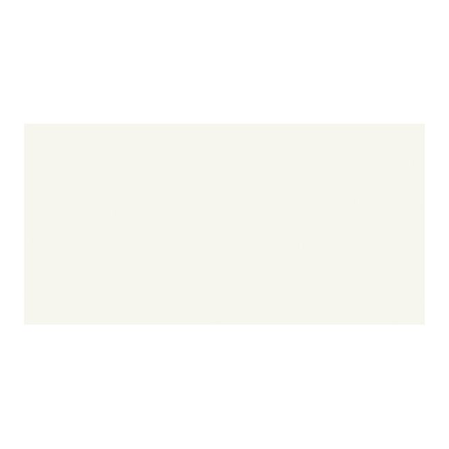 Modul Paradyż glaseret flise 30 x 60 cm bianco mat 1,44 m²