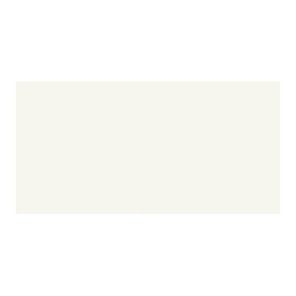 Modul Paradyż glaseret flise 30 x 60 cm bianco mat 1,44 m²