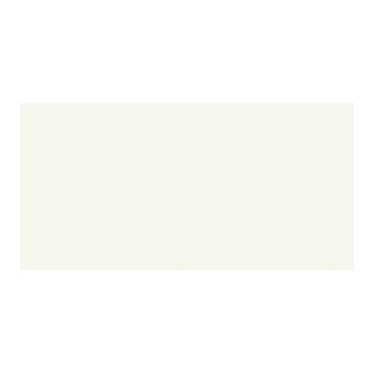 Modul Paradyż glaseret flise 30 x 60 cm bianco mat 1,44 m²