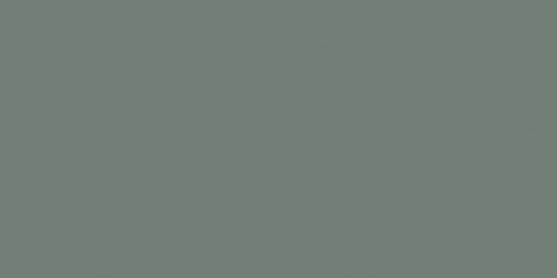 Montmartre glaseret flise 60 x 120 cm vert 1,44 m²