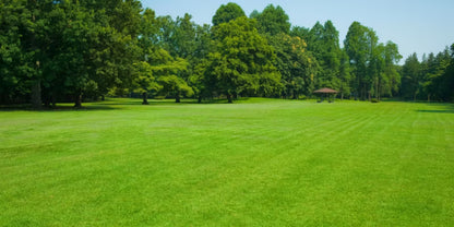 Græsfrø SOS Lawn Repair Regenerering 5 kg