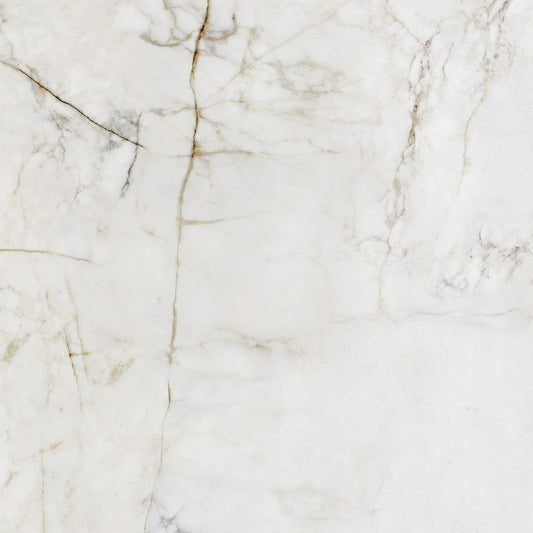 Frostbestandig Shellstone Arte porcelænsflise 119,8 x 119,8 cm 1,44 m²