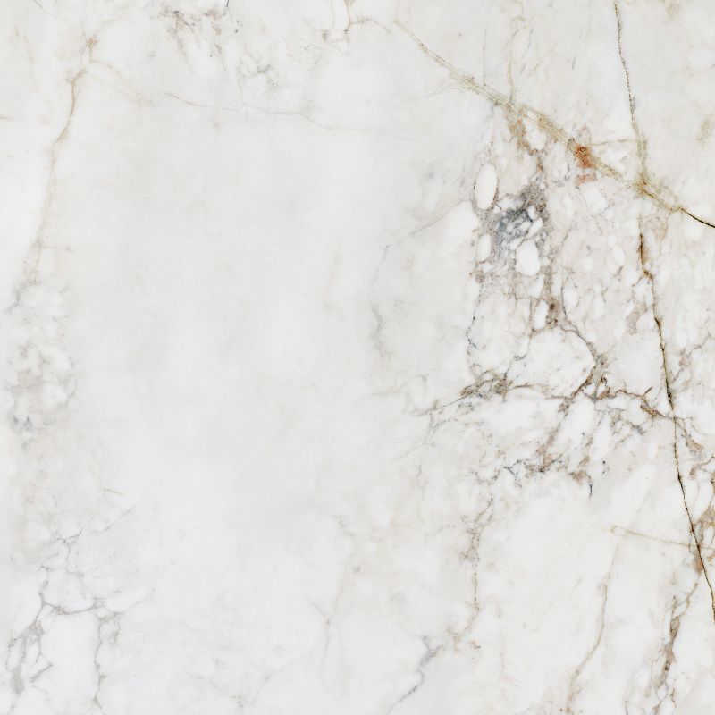 Frostbestandig Shellstone Arte porcelænsflise 119,8 x 119,8 cm 1,44 m²