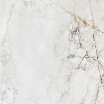 Frostbestandig Shellstone Arte porcelænsflise 119,8 x 119,8 cm 1,44 m²