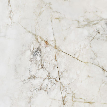 Frostbestandig Shellstone Arte porcelænsflise 119,8 x 119,8 cm 1,44 m²