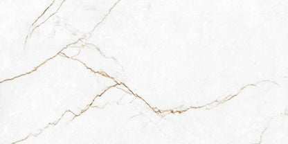 Frostbestandig glaseret porcelænsflise Dahlia 60 x 120 cm 1,44 m²