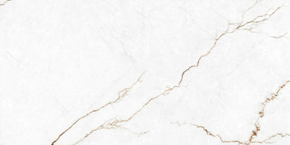 Frostbestandig glaseret porcelænsflise Dahlia 60 x 120 cm 1,44 m²