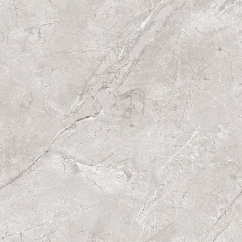 Frostbestandig glaseret klinker Egen Darwin 60 x 60 cm bianco 1,44 m²
