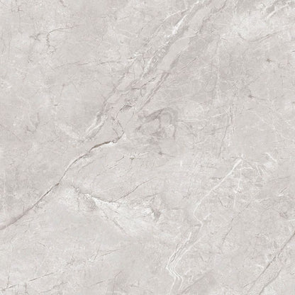 Frostbestandig glaseret klinker Egen Darwin 60 x 60 cm bianco 1,44 m²