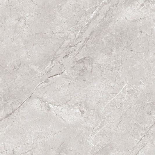 Frostbestandig glaseret klinker Egen Darwin 60 x 60 cm bianco 1,44 m²