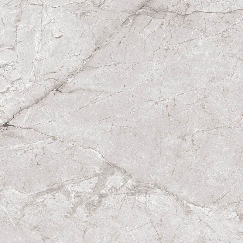 Frostbestandig glaseret klinker Egen Darwin 60 x 60 cm bianco 1,44 m²