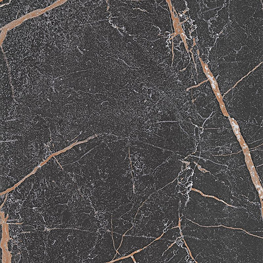 Frostbestandig glaseret porcelænsflise Emelie 59,8 x 59,8 x 0,8 cm sort 1,79 m²