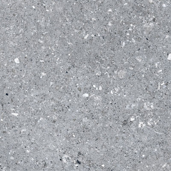 Frostbestandig glasurgranit Expedition 40 x 40 cm grafitgrå 1,6 m²