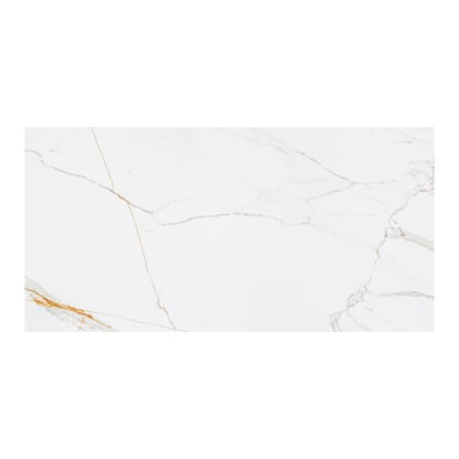 Frostbestandig poleret glasur-gulvflise Sidamo Ceramstic 60 x 120 cm 1,44 m²