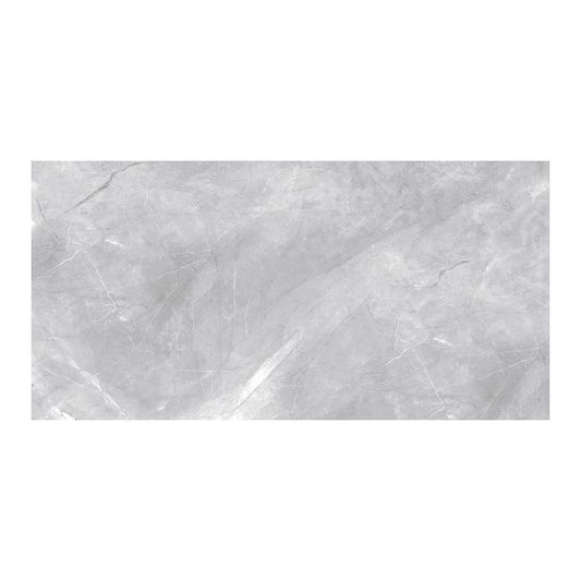 Frostbestandig glaseret porcelænsflise Pulpis 60 x 119,5 cm grå 2,16 m²