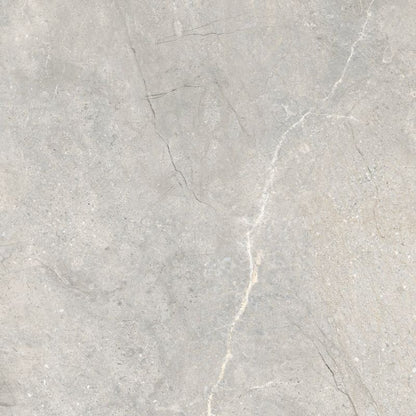 Frostbestandig glaseret porcelænsflise Tanger 60 x 60 cm lys grå 1,44 m²