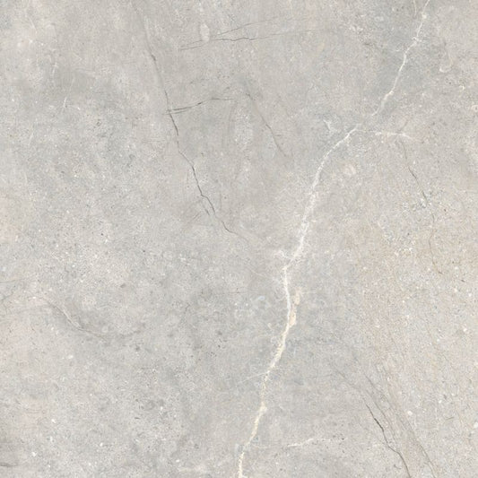 Frostbestandig glaseret porcelænsflise Tanger 60 x 60 cm lys grå 1,44 m²