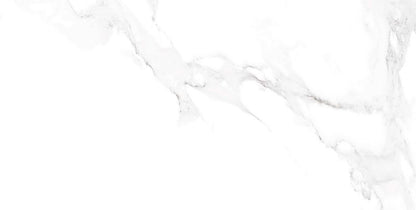Frostbestandig porcelænsflise Toronto 60 x 120 cm 1,44 m²