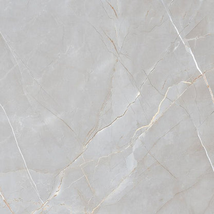Frostbestandig Voramar porcelænsflise 60 x 60 cm sølv 1,44 m²