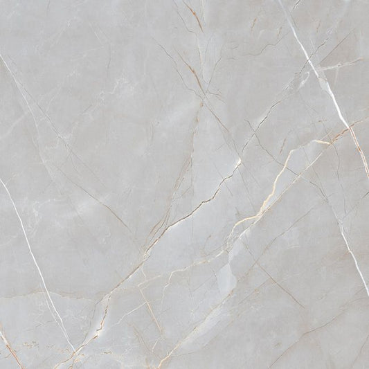 Frostbestandig Voramar porcelænsflise 60 x 60 cm sølv 1,44 m²