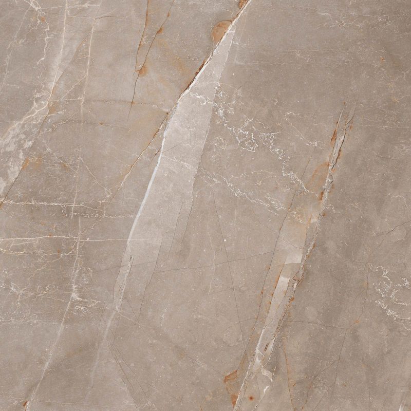 Frostbestandig Will porcelænsflise 60 x 60 cm grå 1,44 m²
