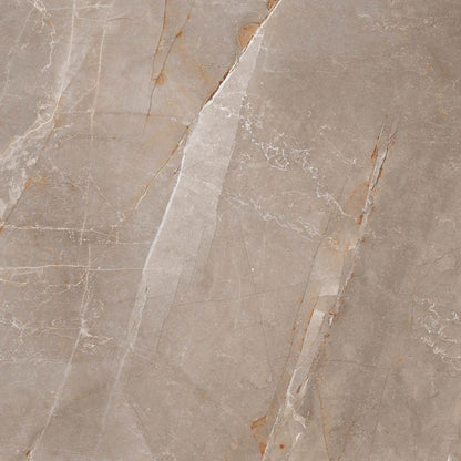 Frostbestandig Will porcelænsflise 60 x 60 cm grå 1,44 m²