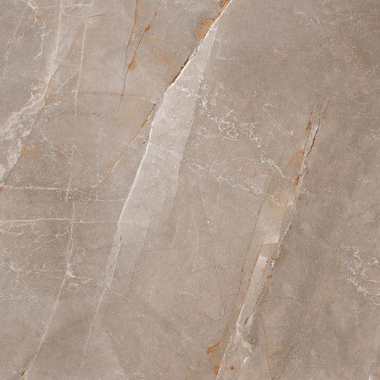 Frostbestandig Will porcelænsflise 60 x 60 cm grå 1,44 m²