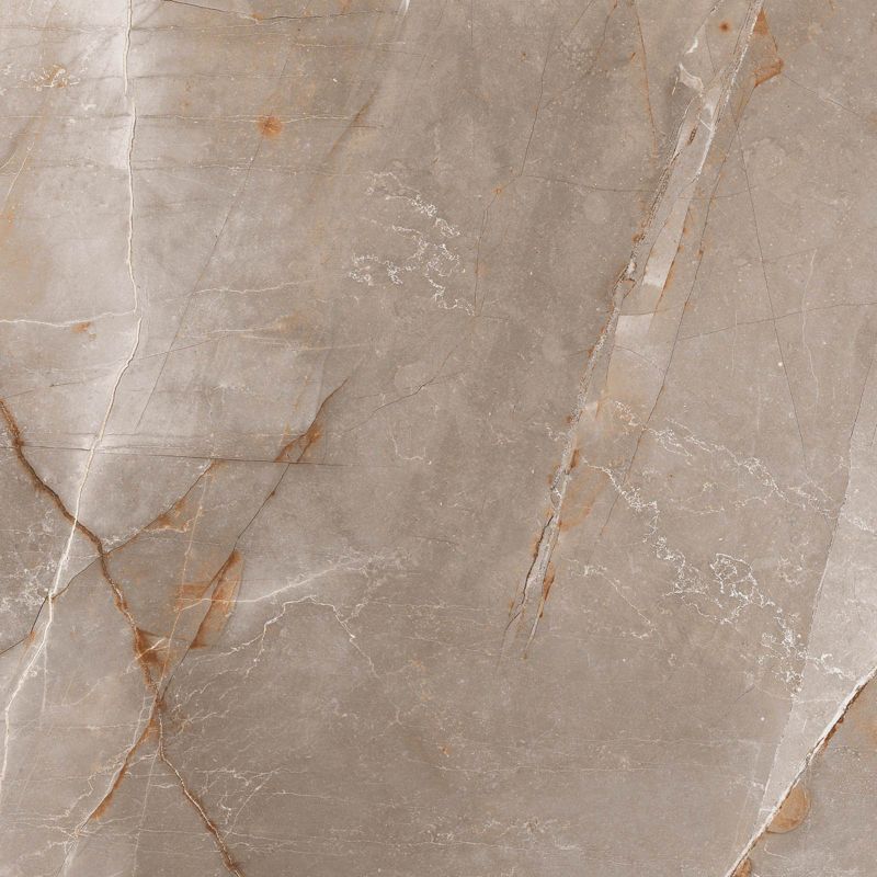 Frostbestandig Will porcelænsflise 60 x 60 cm grå 1,44 m²