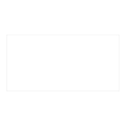 Glaseret klinke 60 x 119,5 cm extreme white 2,16 m²