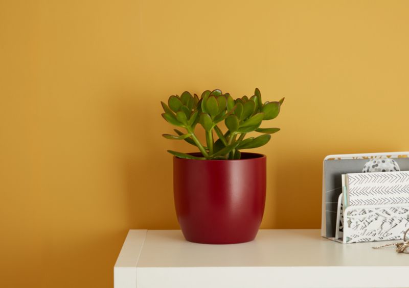 Grubosz GoodHome 12 cm