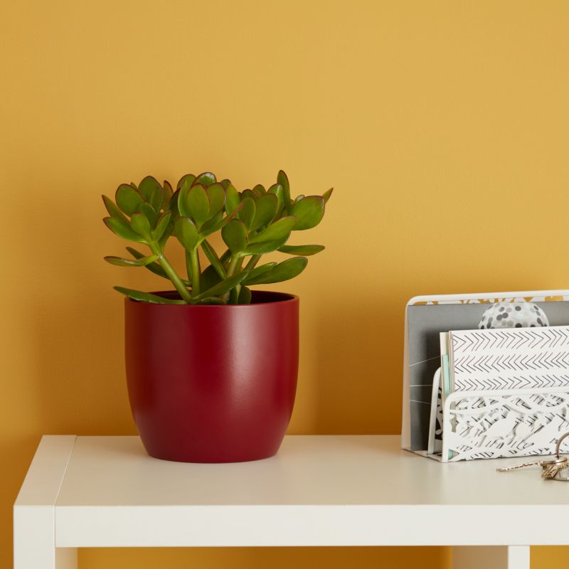 Grubosz GoodHome 12 cm