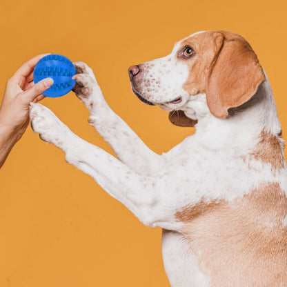 Springos gummibold til hunde med knopper til tandrensning og godbidder, blå, 1 stk.