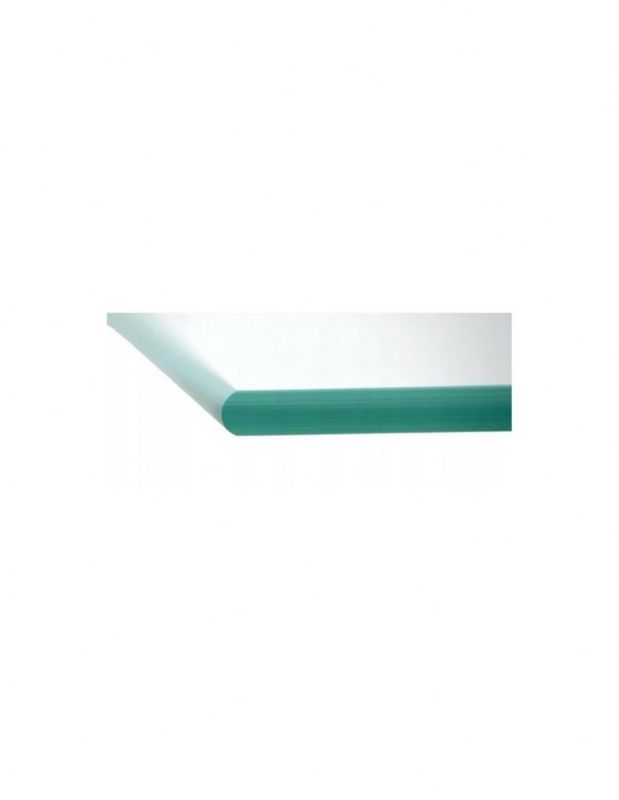 Gulvplade Hærdet Glas 100x50 cm Transparent 5904326321106