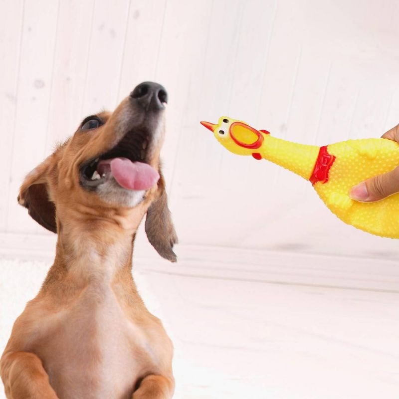 Springos gummi kylling legetøj til hund 37 cm, bide- og trækleg, 1 stk.