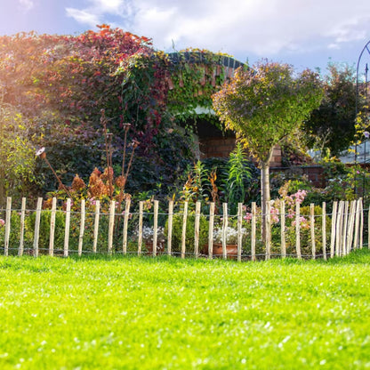 Hasselhegn 500 cm Natur Træ