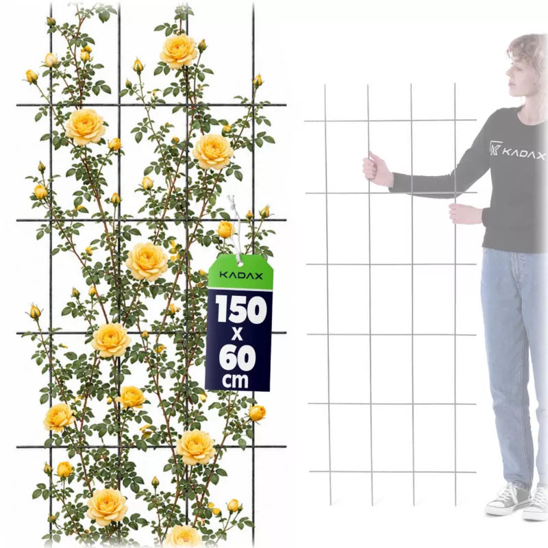 Haveespalier 60x150 cm Stål