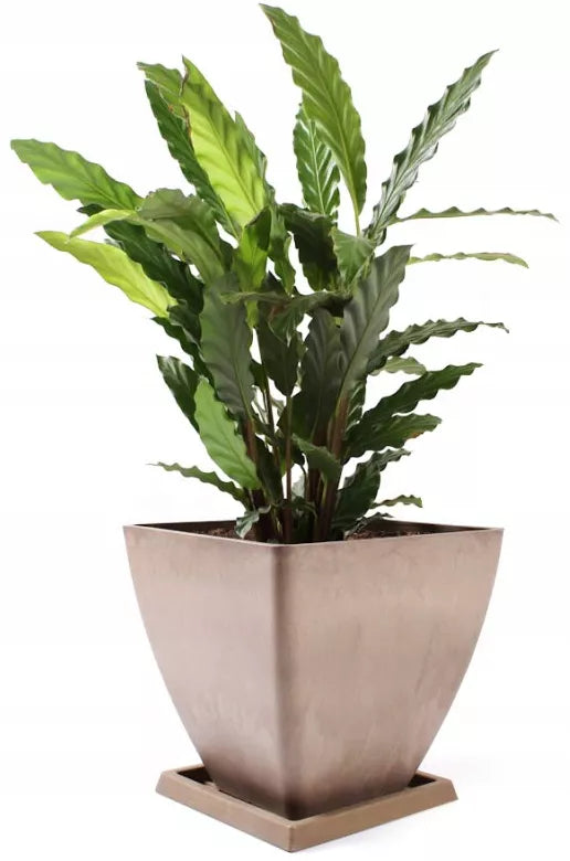 Havekrukke Komposit 28 cm med Underskål