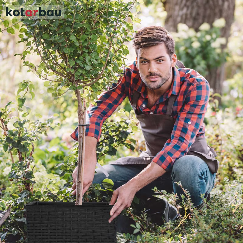 Havekrukke Rattan 32x32 cm Antracit 2 Stk.