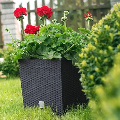 Havekrukke Rattan 40x40 cm Hvid med Indsats