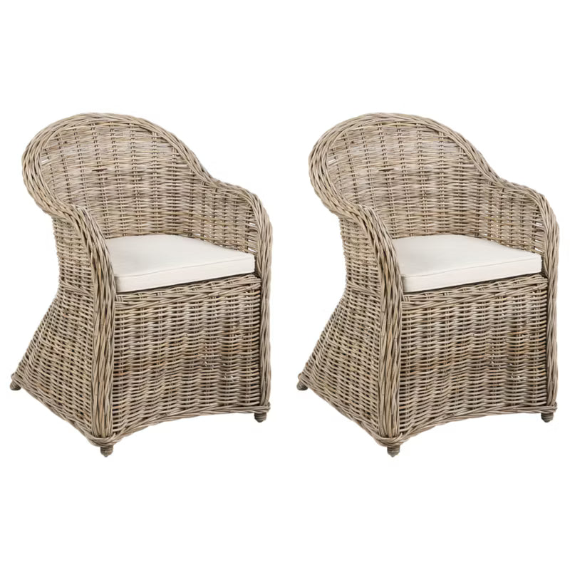 Havemøbelsæt Susua II 56x68 cm Rattan Natur 2 Stk.